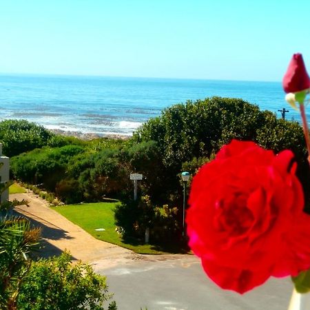 Belle Vue Guesthouse Hermanus Exteriör bild