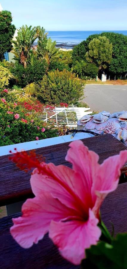Belle Vue Guesthouse Hermanus Exteriör bild