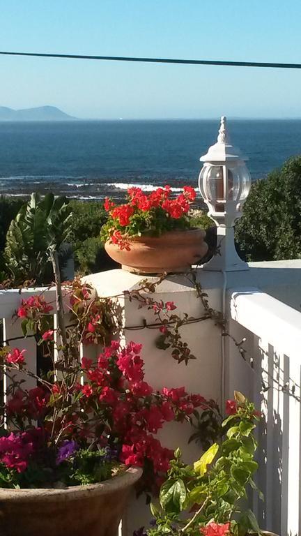 Belle Vue Guesthouse Hermanus Exteriör bild