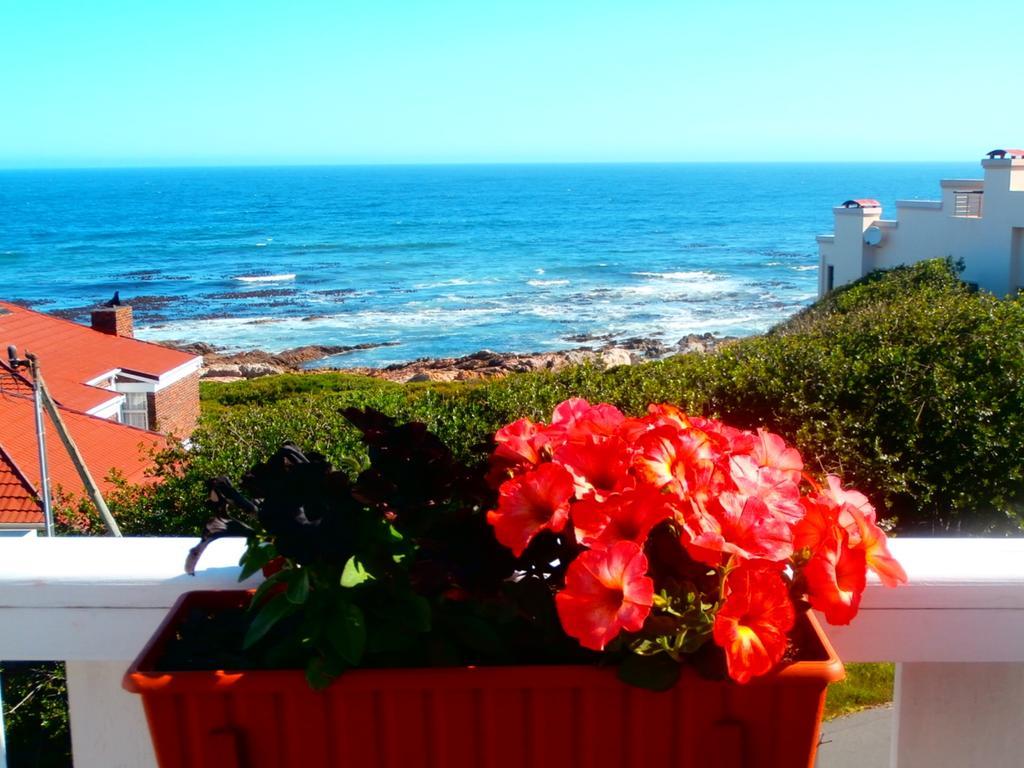 Belle Vue Guesthouse Hermanus Exteriör bild
