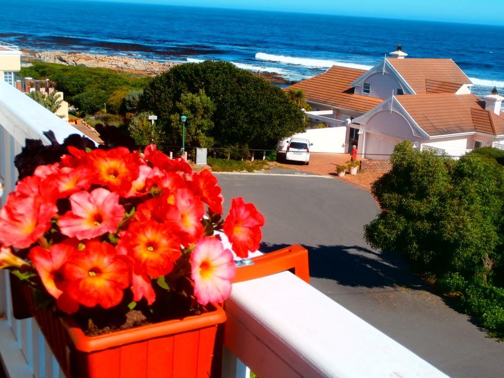 Belle Vue Guesthouse Hermanus Exteriör bild