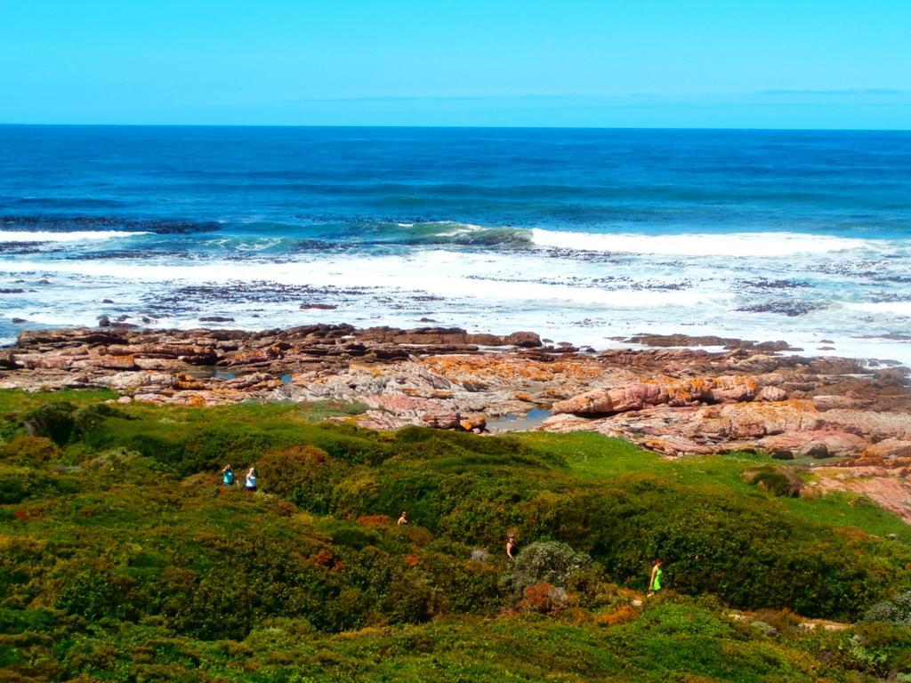 Belle Vue Guesthouse Hermanus Exteriör bild