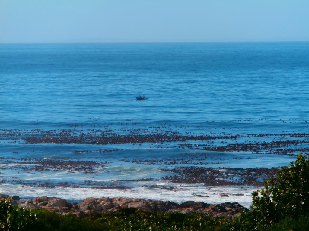 Belle Vue Guesthouse Hermanus Exteriör bild