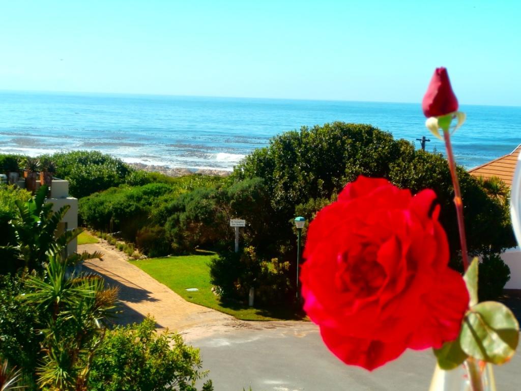 Belle Vue Guesthouse Hermanus Exteriör bild