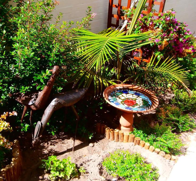 Belle Vue Guesthouse Hermanus Exteriör bild